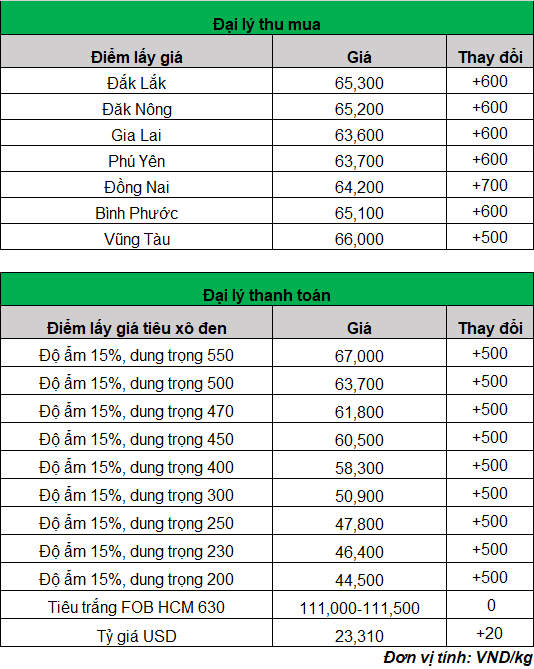 gia tieu 1_1680582843.png